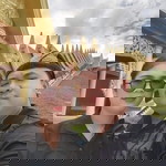 วาสนา สุเสนา profile icon