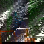 Nency Yolanda profile icon