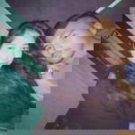 Ra'iLa Putra profile icon