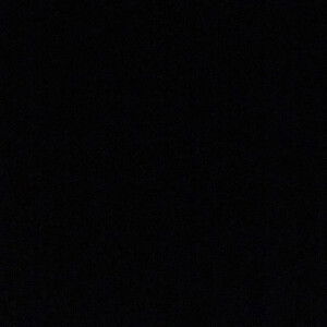 maneewan profile icon