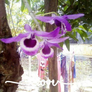 Truong Giang profile icon