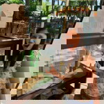 Julie Vi Rose Capito Alforque profile icon