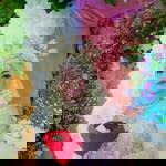 Lestari Fatah Ardi profile icon