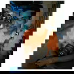 รักแท้ อยู่ไหน profile icon