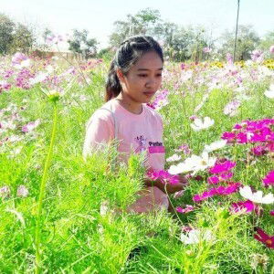 Apple Ssw profile icon