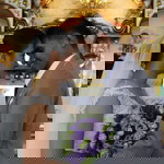 Mechelle Ann Janairo Palmiano profile icon