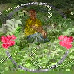 Lee Kim Anh profile icon