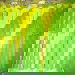 Arin Nasha profile icon