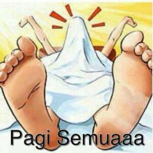 aristo momentum profile icon