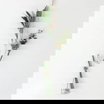 Prilla Puspita profile icon