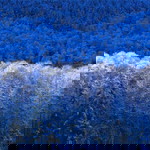 BADROL HISYAM profile icon