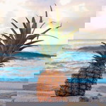 Prisca Windarti profile icon