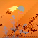 Diah Aprilliah profile icon