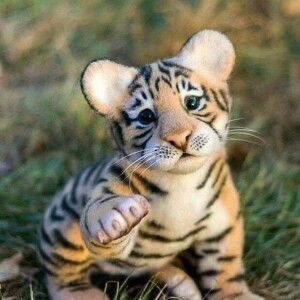 Efarizan Jaafar profile icon