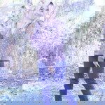 Nurrul ishyaroh profile icon