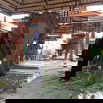 ฟาติมะ บุราณรมย์ profile icon