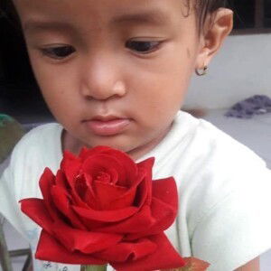 Ni'mah T. Susi profile icon