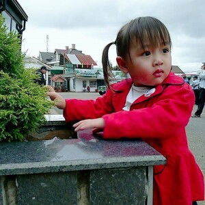 dangthithanhthuy profile icon