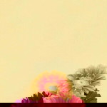 Sabina Tune profile icon
