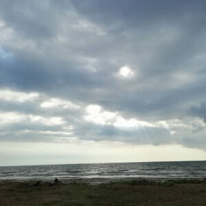 Suzana Teo profile icon