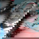 Faizah Roses profile icon