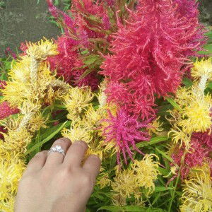 Devie Je Nong profile icon