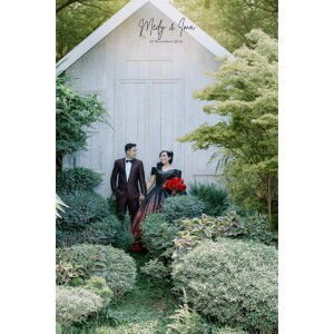 Ima Medy profile icon