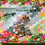 Monina Calibat Vila profile icon