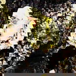 Shehatun Maghfiroh-vi Vie profile icon