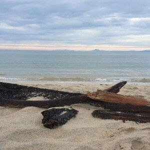 Norazila Rahim profile icon