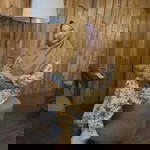 Scania evana profile icon