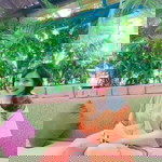 Việt Hằng Lê profile icon