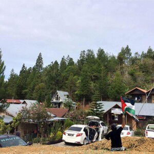 Julie Niezam profile icon