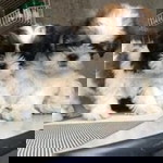 Monico Mendoza profile icon