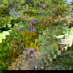 iip shofianah profile icon