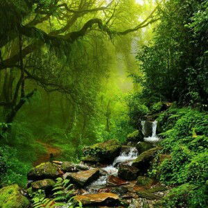 Yamin Abine Ainun profile icon