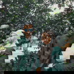 Sofiah Kecik profile icon