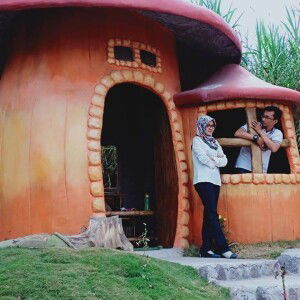 Rifda Setyaningsih profile icon