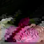 Azira Mialiaus profile icon