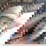Barjee Santos Taghoy profile icon