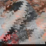 Hoai Bùi profile icon