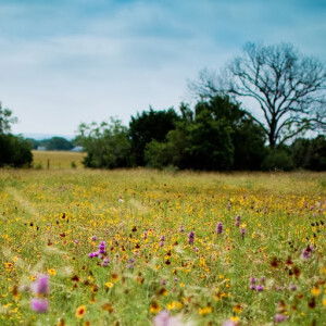 zaza kate profile icon