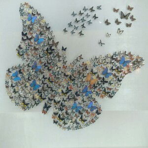 Chavesah Kalong profile icon