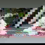 Nur Shawani profile icon