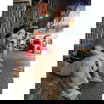 Palm Suealueang profile icon