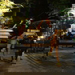 Rumi Rumi profile icon