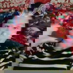 Nguyễn Nhung profile icon