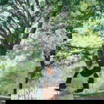 Regina Soraya profile icon