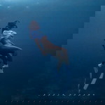 Mish Medina profile icon