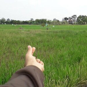 Khoiria Setia profile icon